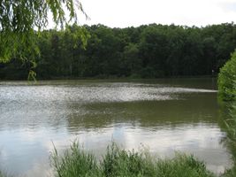 Rokytka 1-Koupaliště Xaverov-3.6.09 (3).JPG